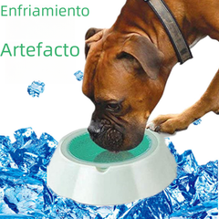 Summer Cooling Pet Bowls for Dogs and Cats