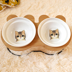 ErgoCat Bowl Stand for Food & Water