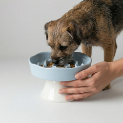 Ceramic Raised Slow Feeder Bowl