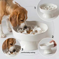 Ceramic Raised Slow Feeder Bowl