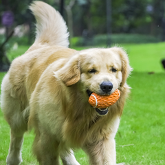 Chew-Proof Playtime Rugby Toy for Dogs