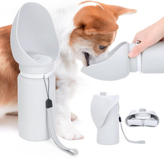 Travel Hydration Bottle for Dogs