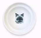 ErgoCat Bowl Stand for Food & Water