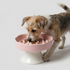 Ceramic Raised Slow Feeder Bowl
