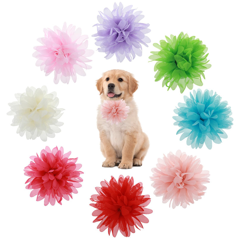 8-Pack Floral Dog Collar Accessories