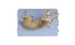 HEST Memory-Foam Dog Bed