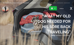 HEST Memory-Foam Dog Bed