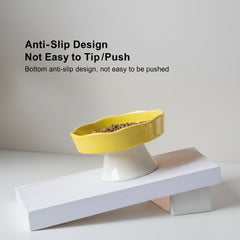 Ceramic Raised Slow Feeder Bowl