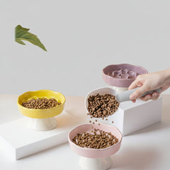 Ceramic Raised Slow Feeder Bowl