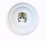 ErgoCat Bowl Stand for Food & Water
