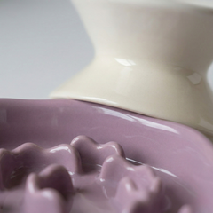 Ceramic Raised Slow Feeder Bowl