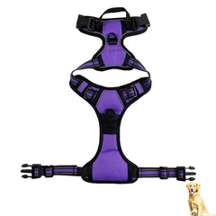 GlowSafe Reflective Dog Harness