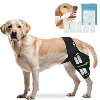Dog Knee & Leg Support Brace
